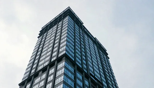 售后支持的使用建议:适用情况与限制分析